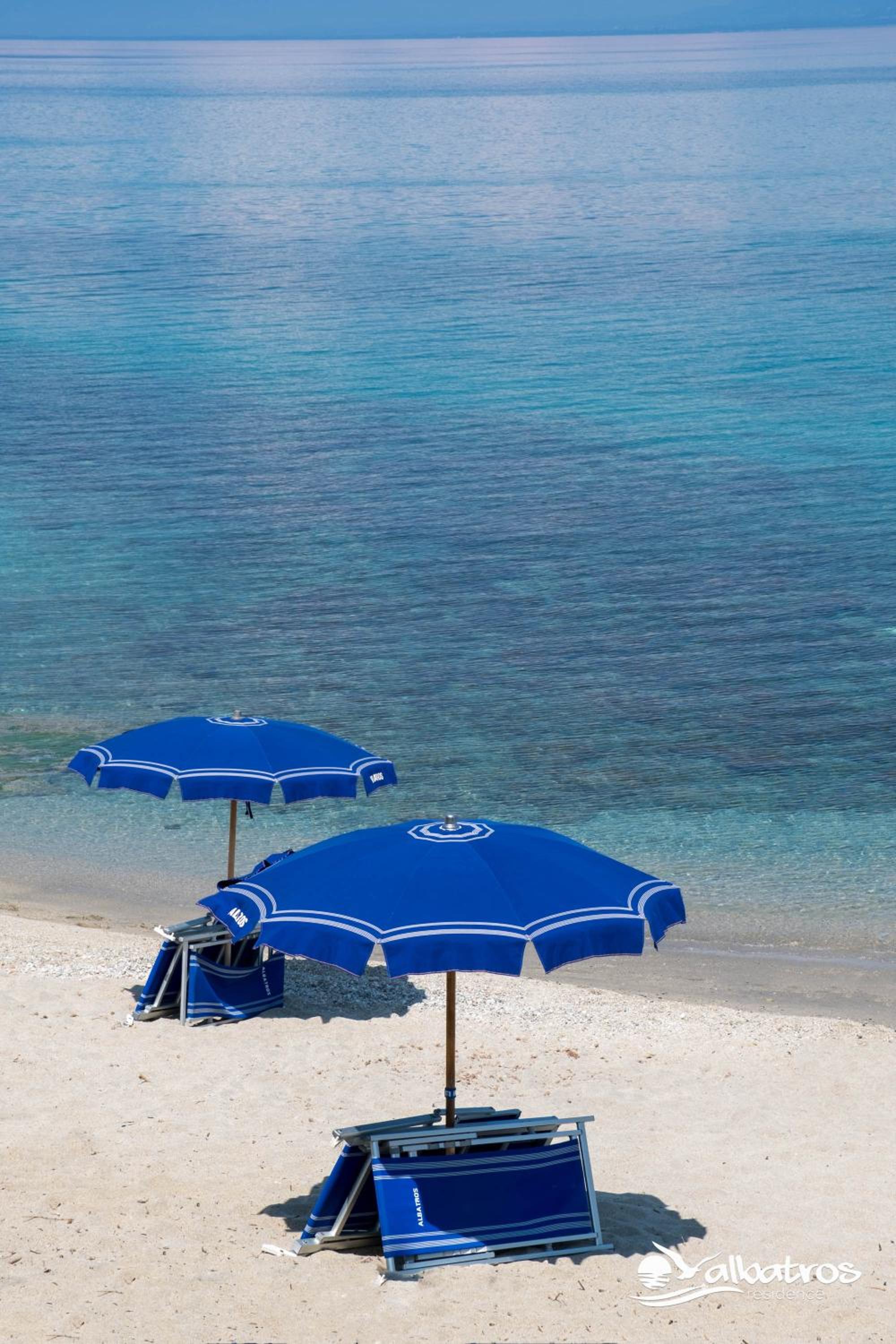 Фото Residence Albatros