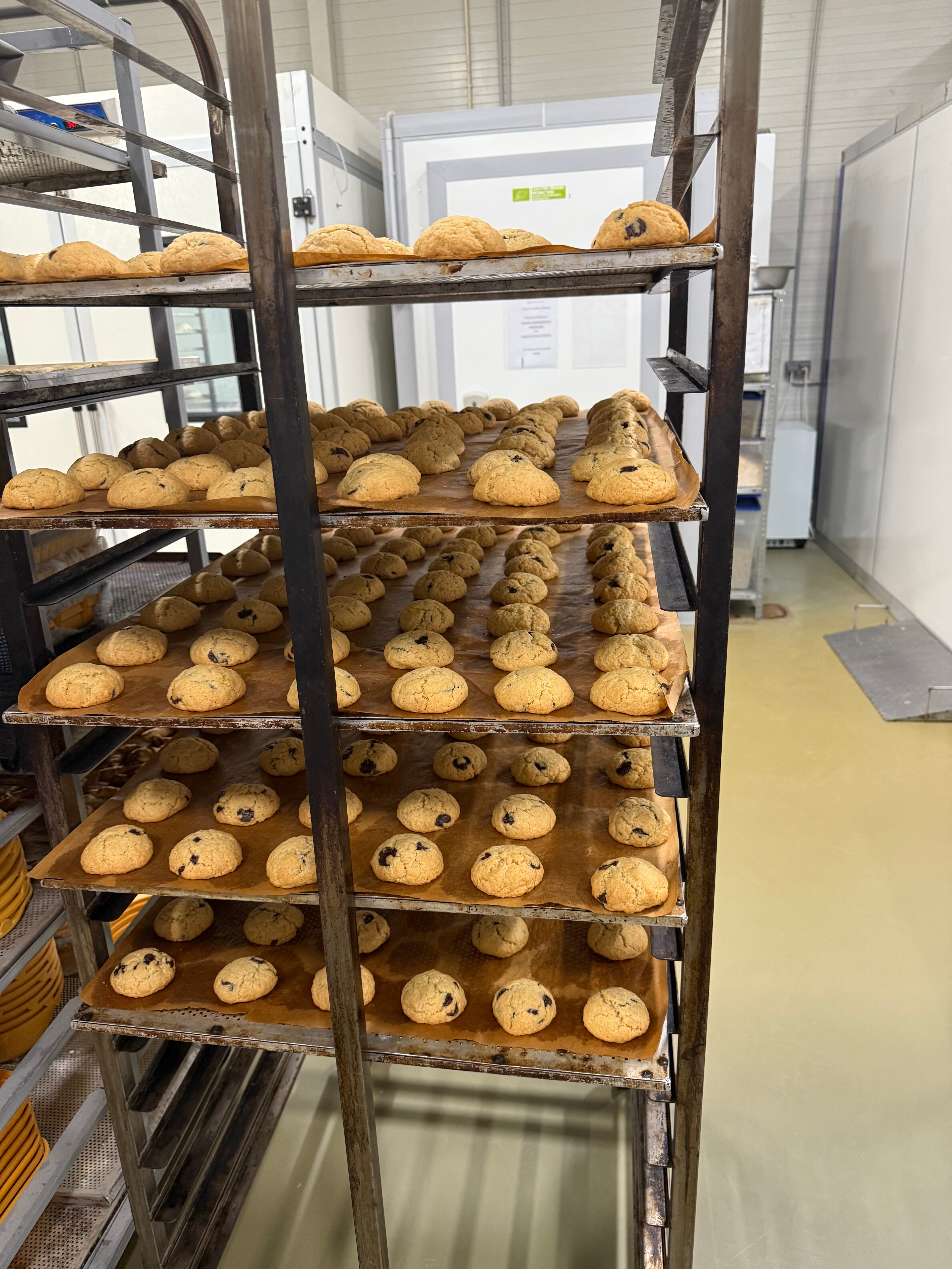 Фото Центр эко туризма Ферма М2