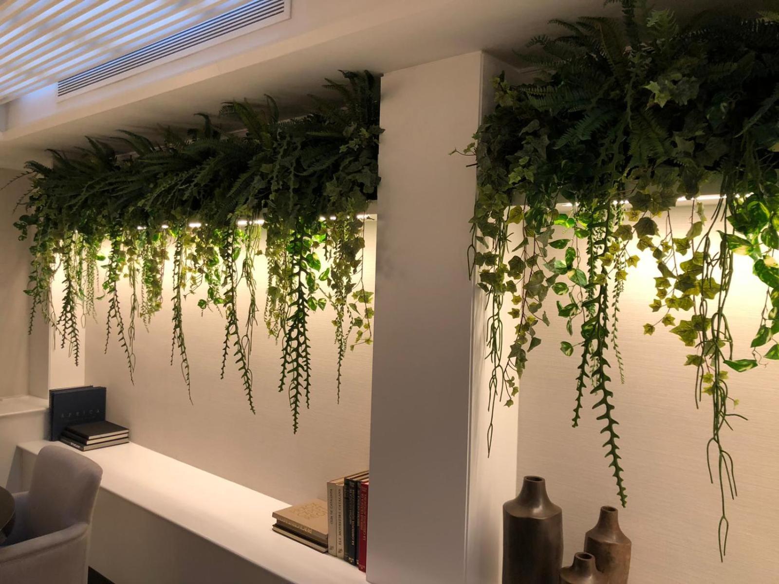 Фото Acacia Suite