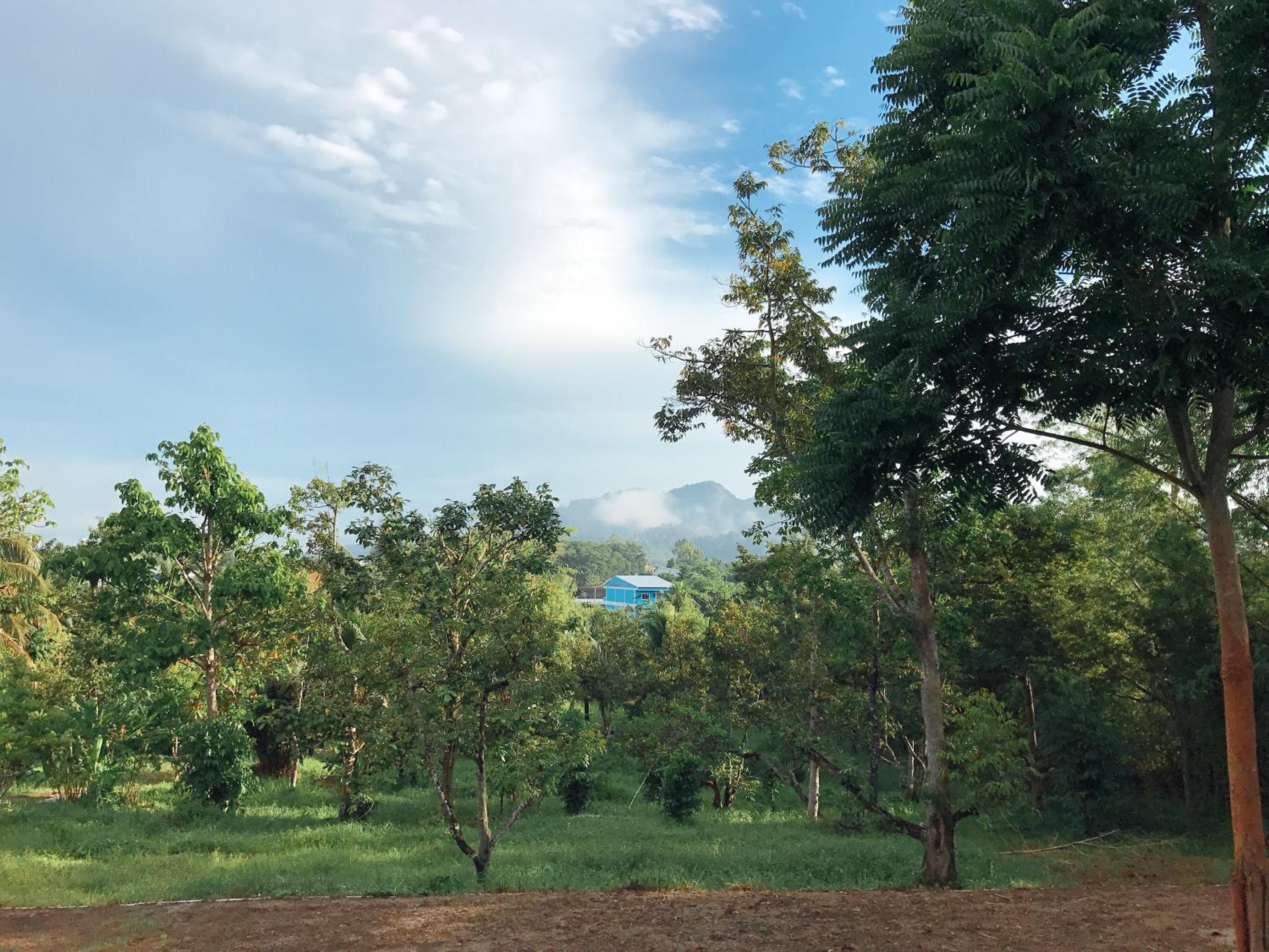 Фото The Box House