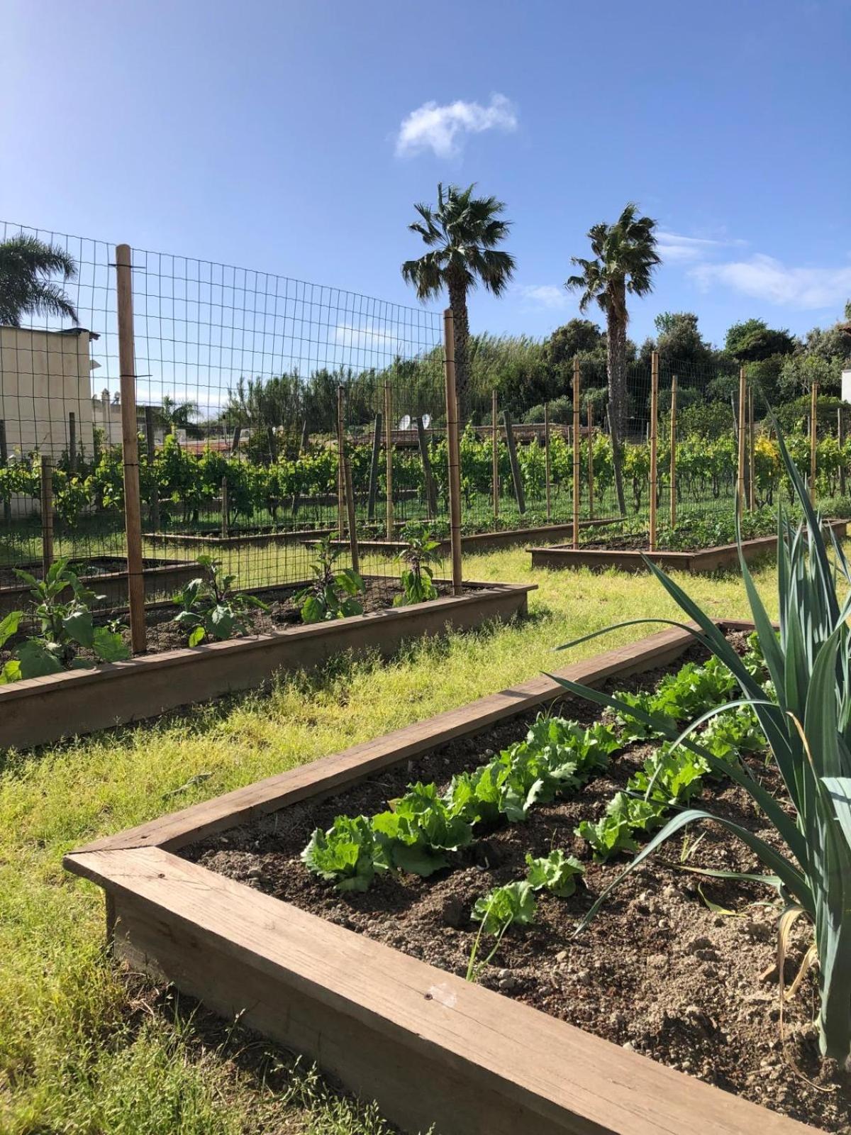 Фото Residence San Domenico