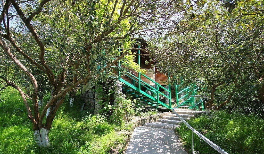 Фото Дежавю