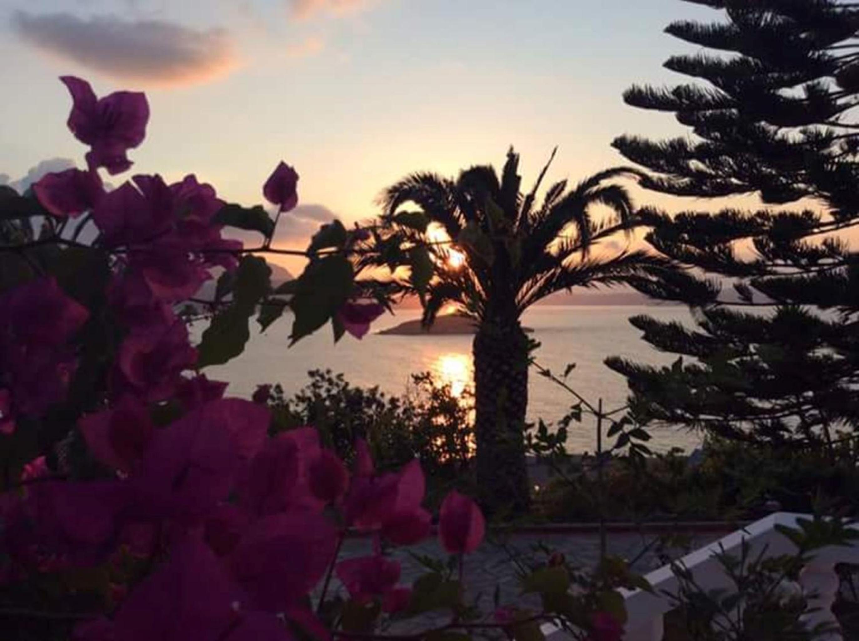 Фото Villa Irini