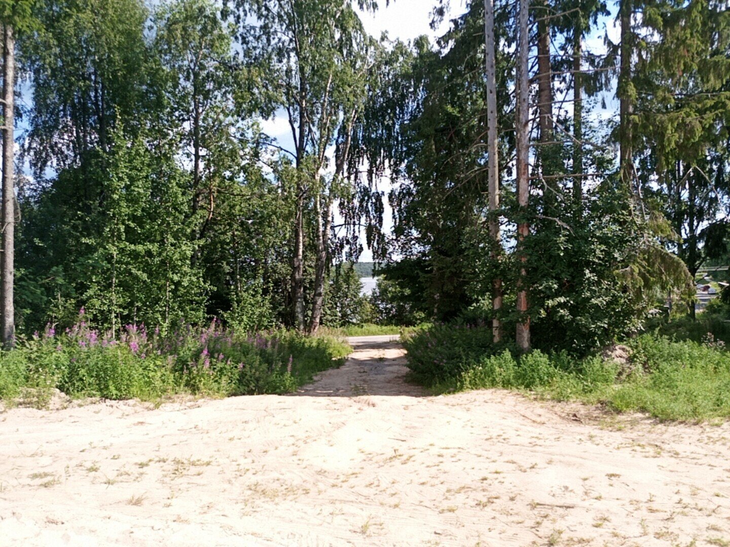 Фото Вегвизир