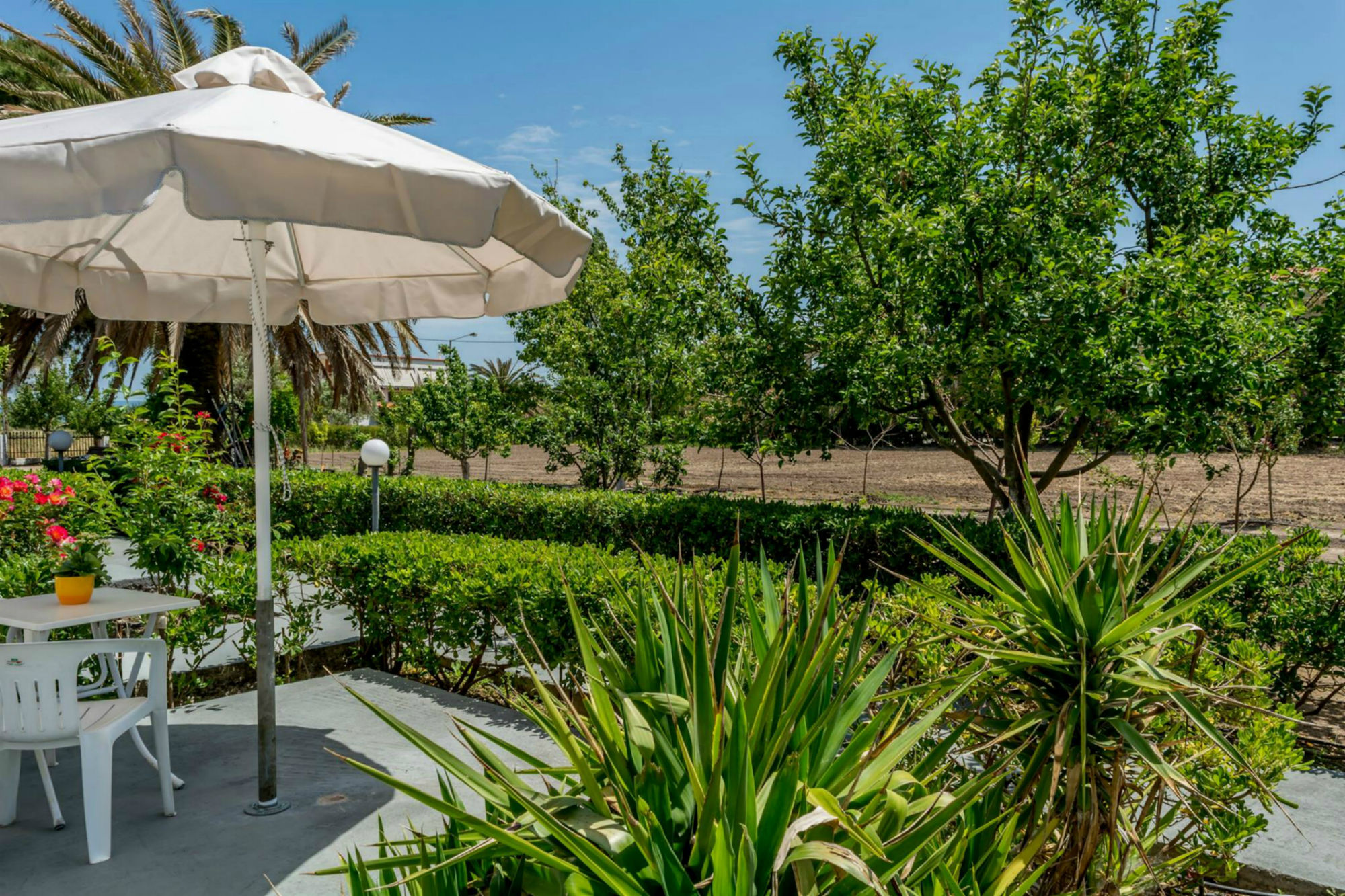 Фото Vicky Studios