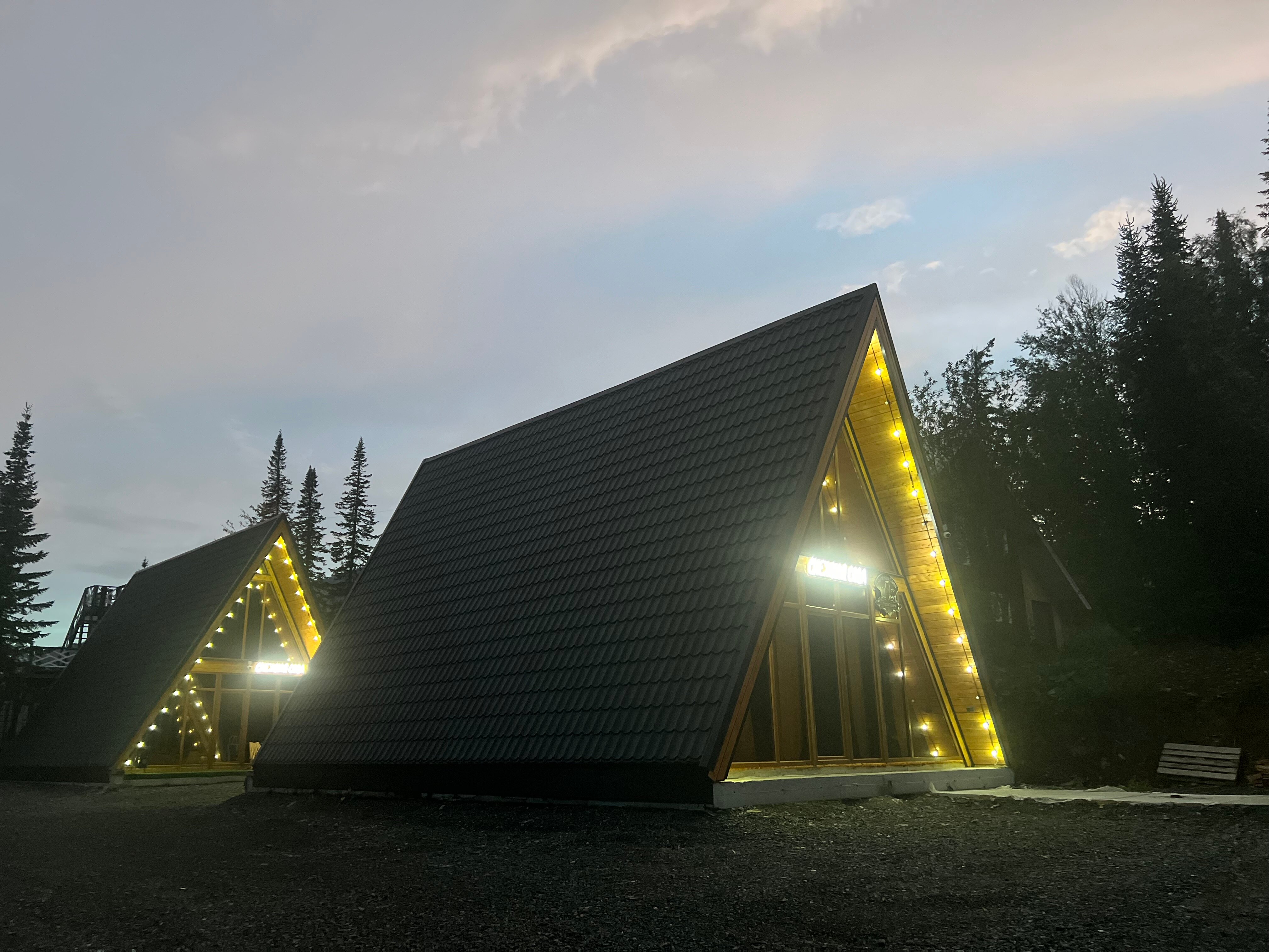 Фото Снежная сова