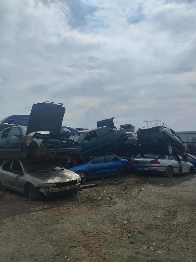 Recycling Utilizator 2018, Moscow, photo