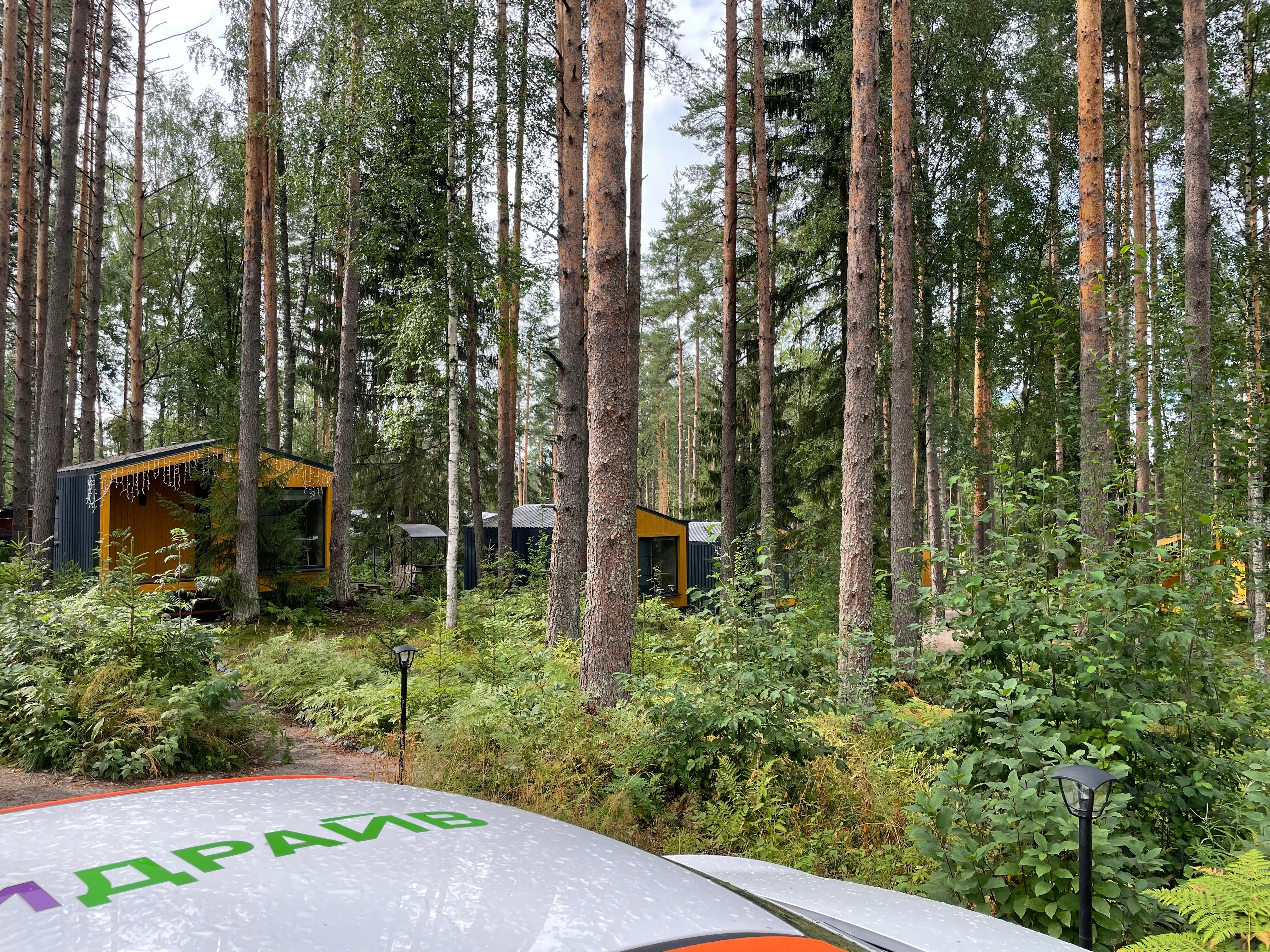 Фото Территория отдыха Лисички