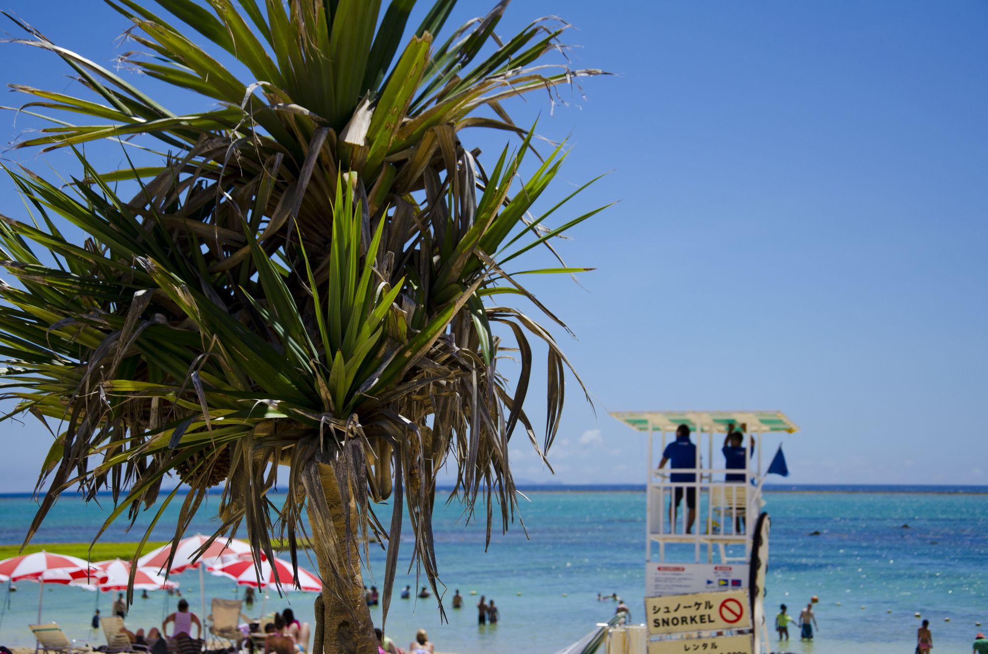 Фото Grand Mercure Okinawa Cape Zanpa Resort