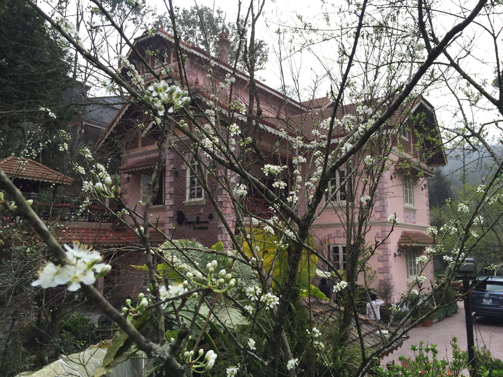 Фото Гостевой Дом Sapa Garden