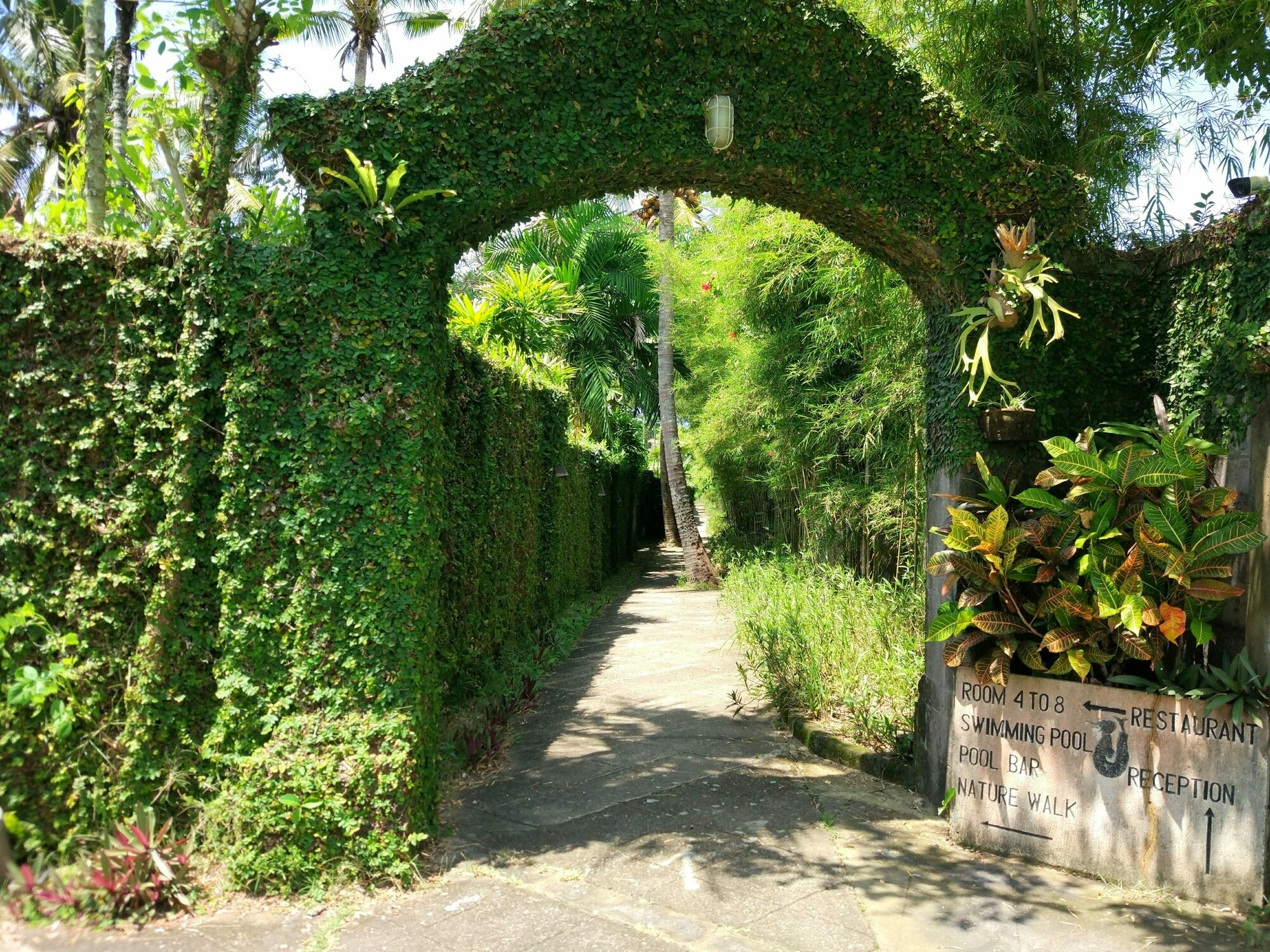 Фото Gajah Mina Beach Resort