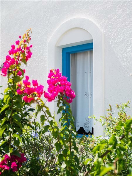 Фото Vigla Hotel