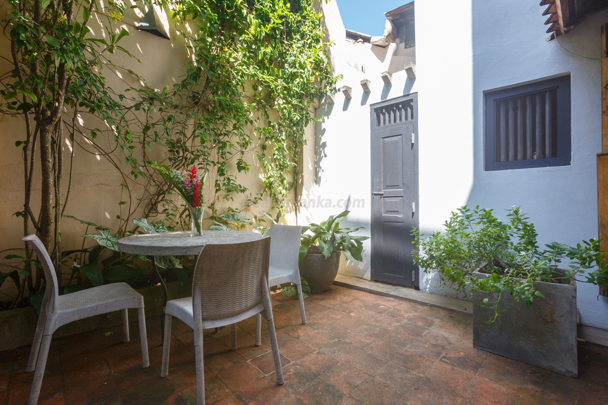 Фото Villa Aurora, Galle Fort