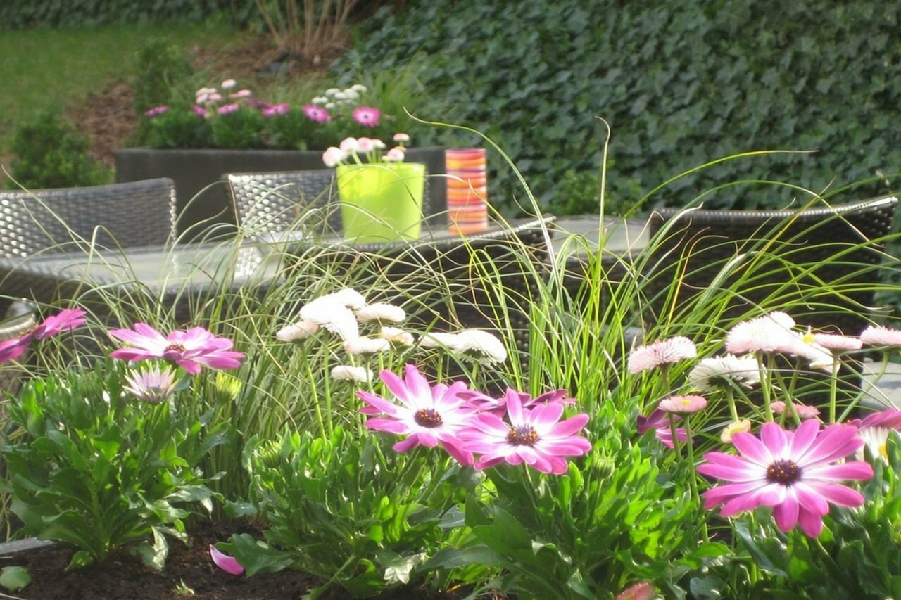 Фото Hotel Indigo - Dusseldorf - Victoriaplatz