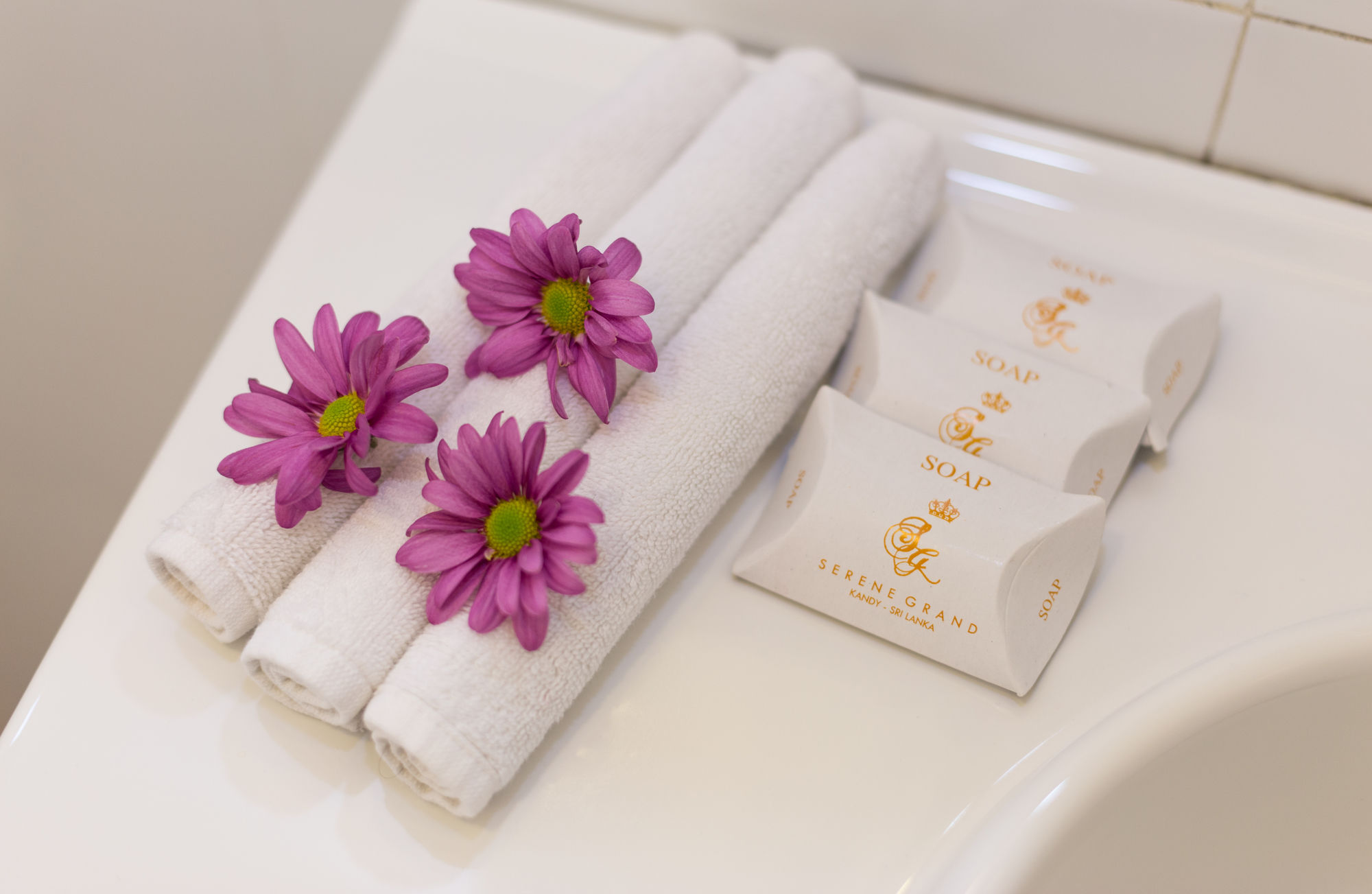 Фото Serene Kandy