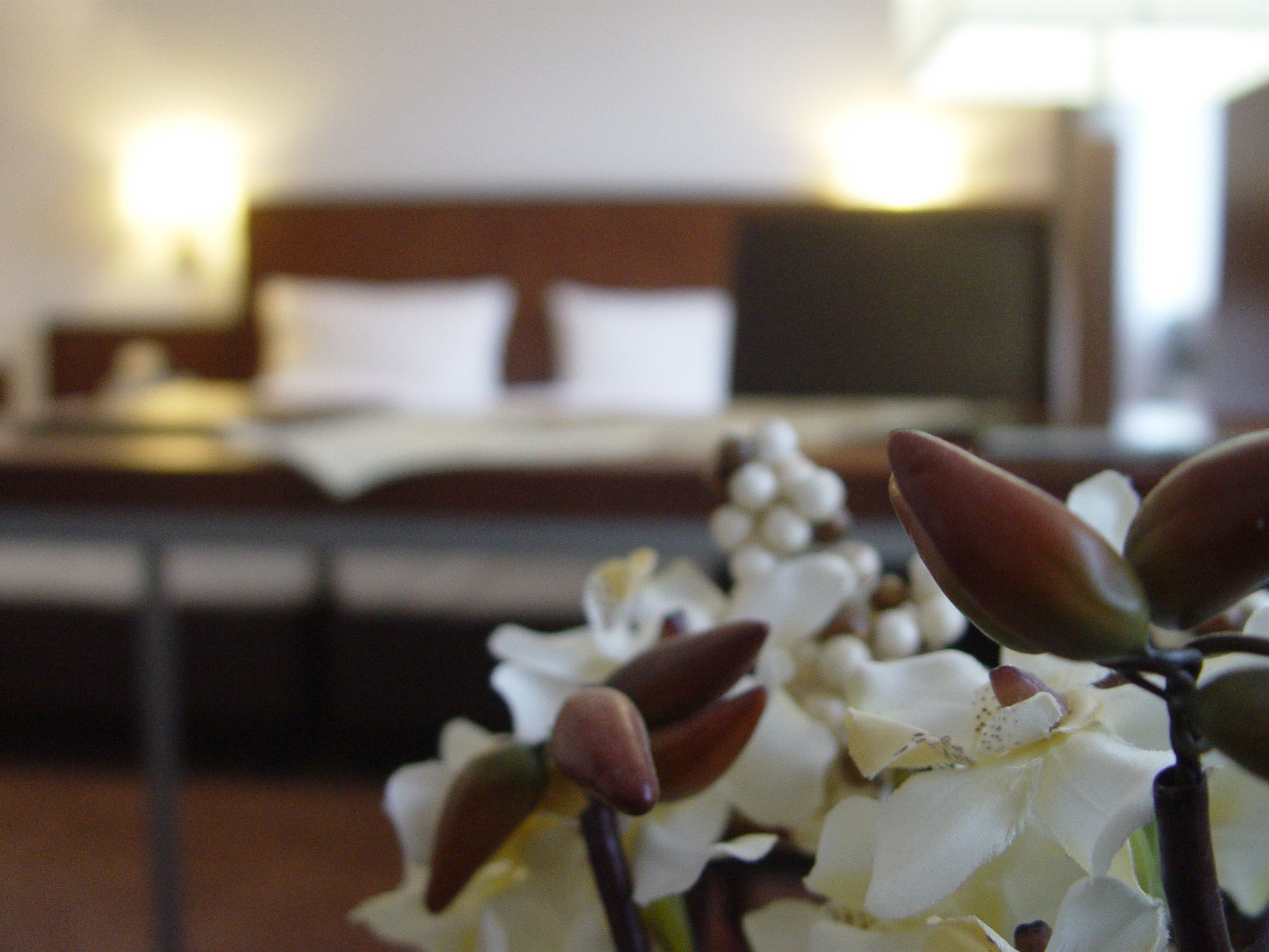 Фото Hotel zum Adler