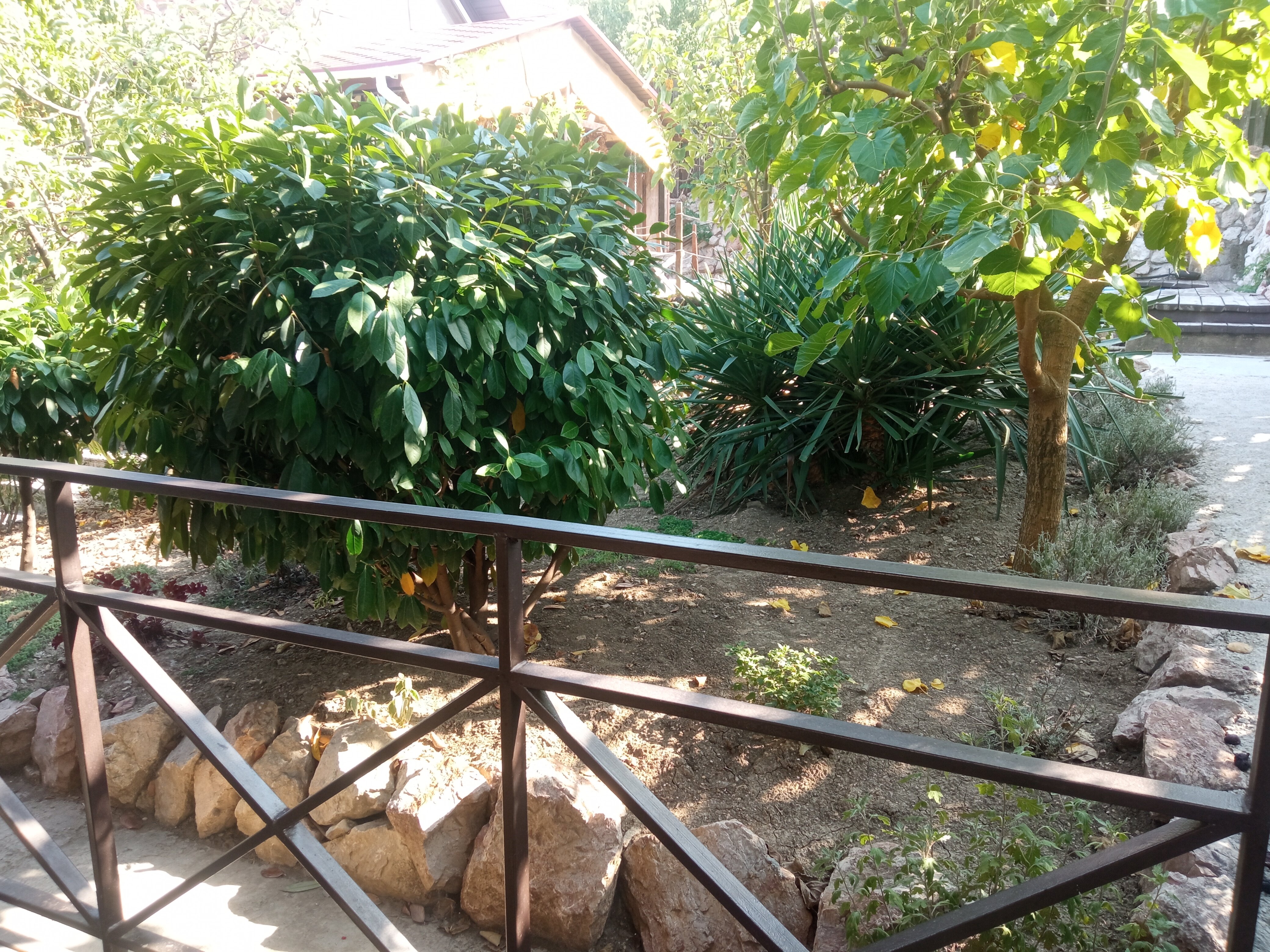 Фото Вилла Агата