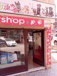 Sansli Patiler Pet Shop (Bursa, Osmangazi District, Intizam Neighborhood, 10th Guzel Street, 9) ، متجر للحيوانات الأليفة