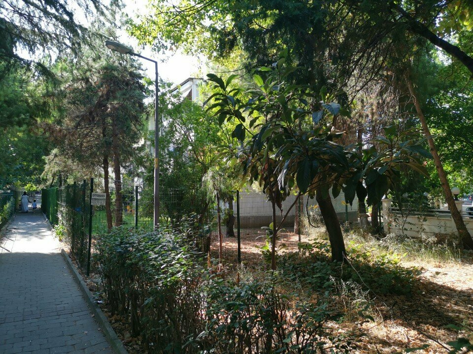 ATM Ing ATM, Istanbul, photo