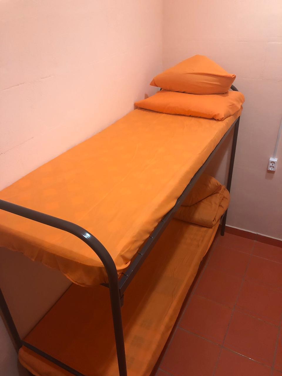 Фото Вежливый Лось