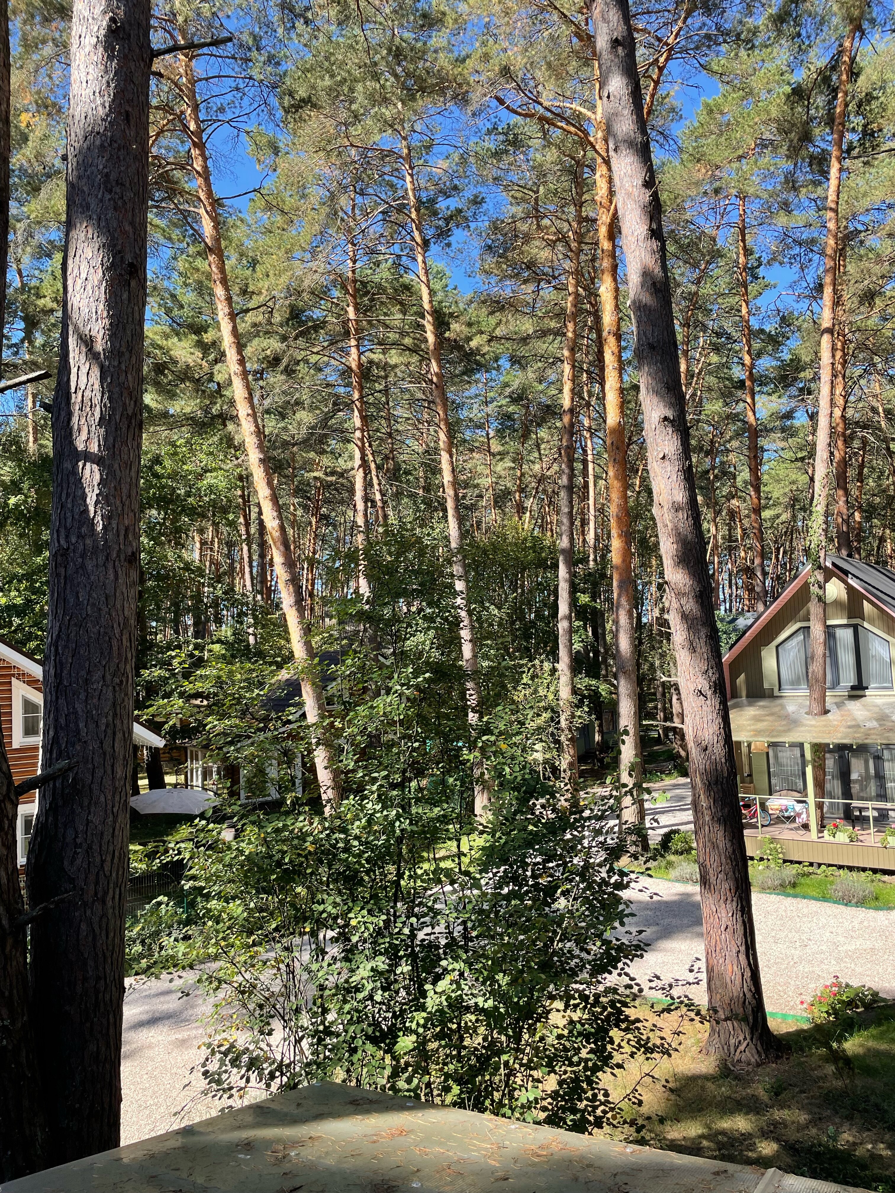 Фото Шепот Вашаны