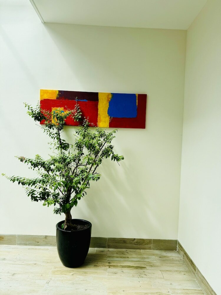 Фото An House Hotel & Apartment Da Nang