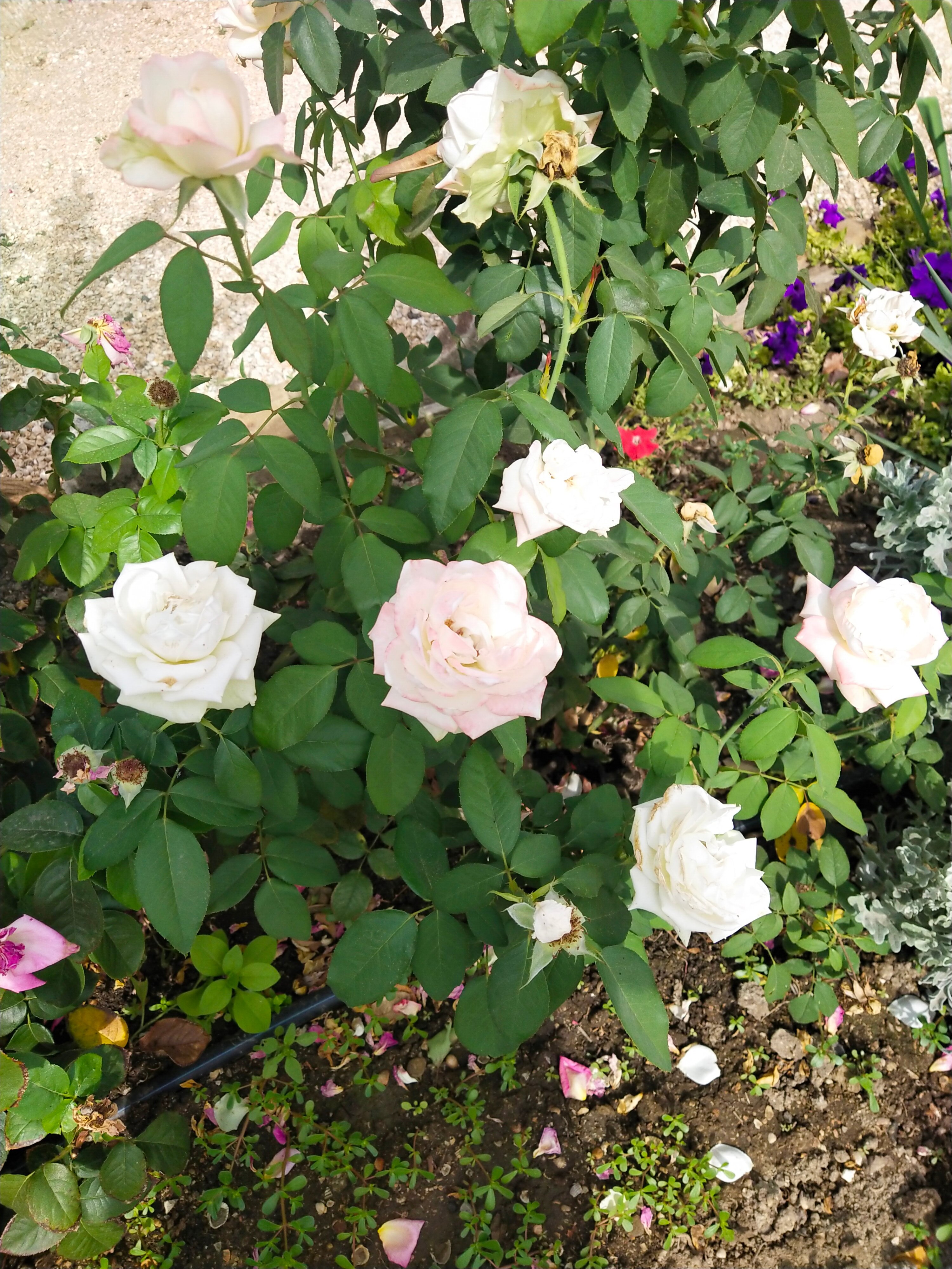 Фото Гостинничный комплекс