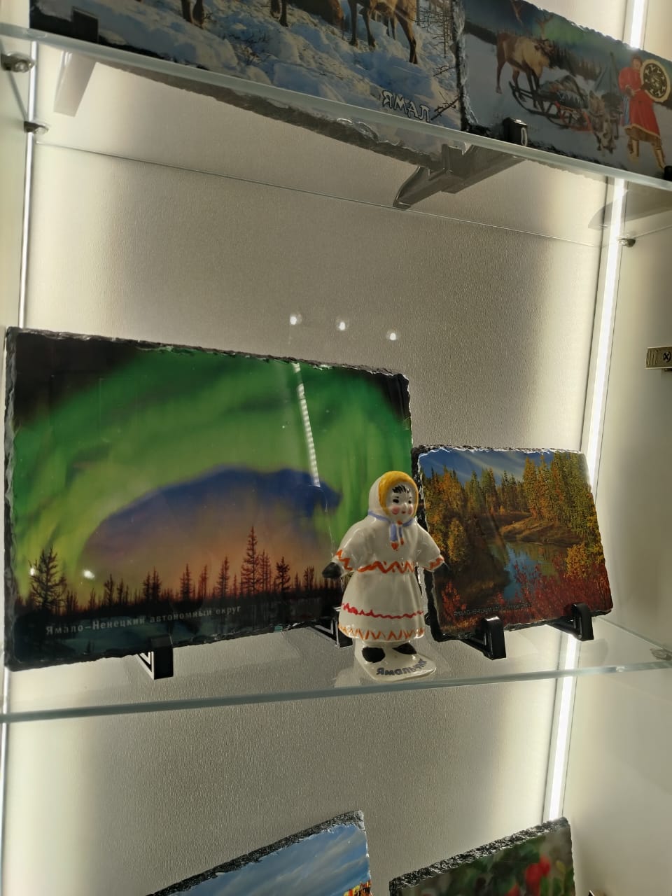 Фото Ягельный