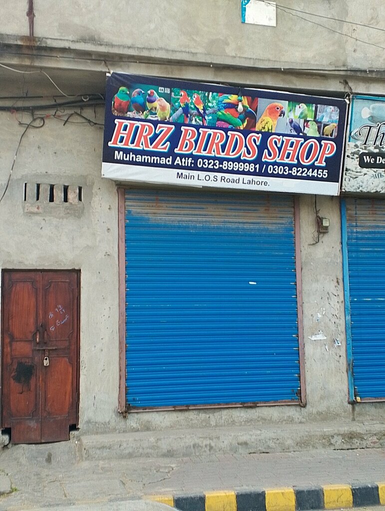 Clothing store H R Z, Lahore, photo