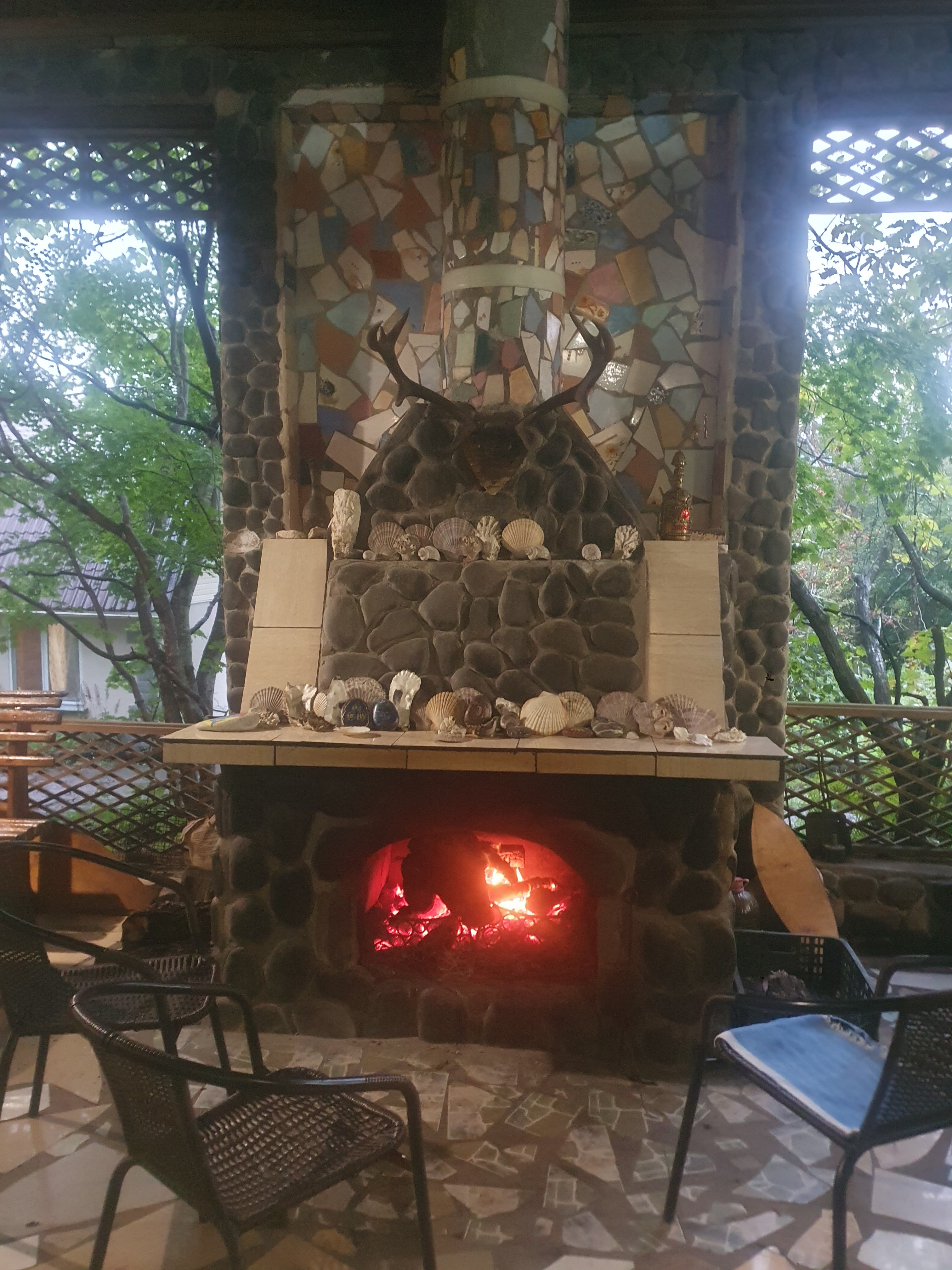 Фото Дельфин