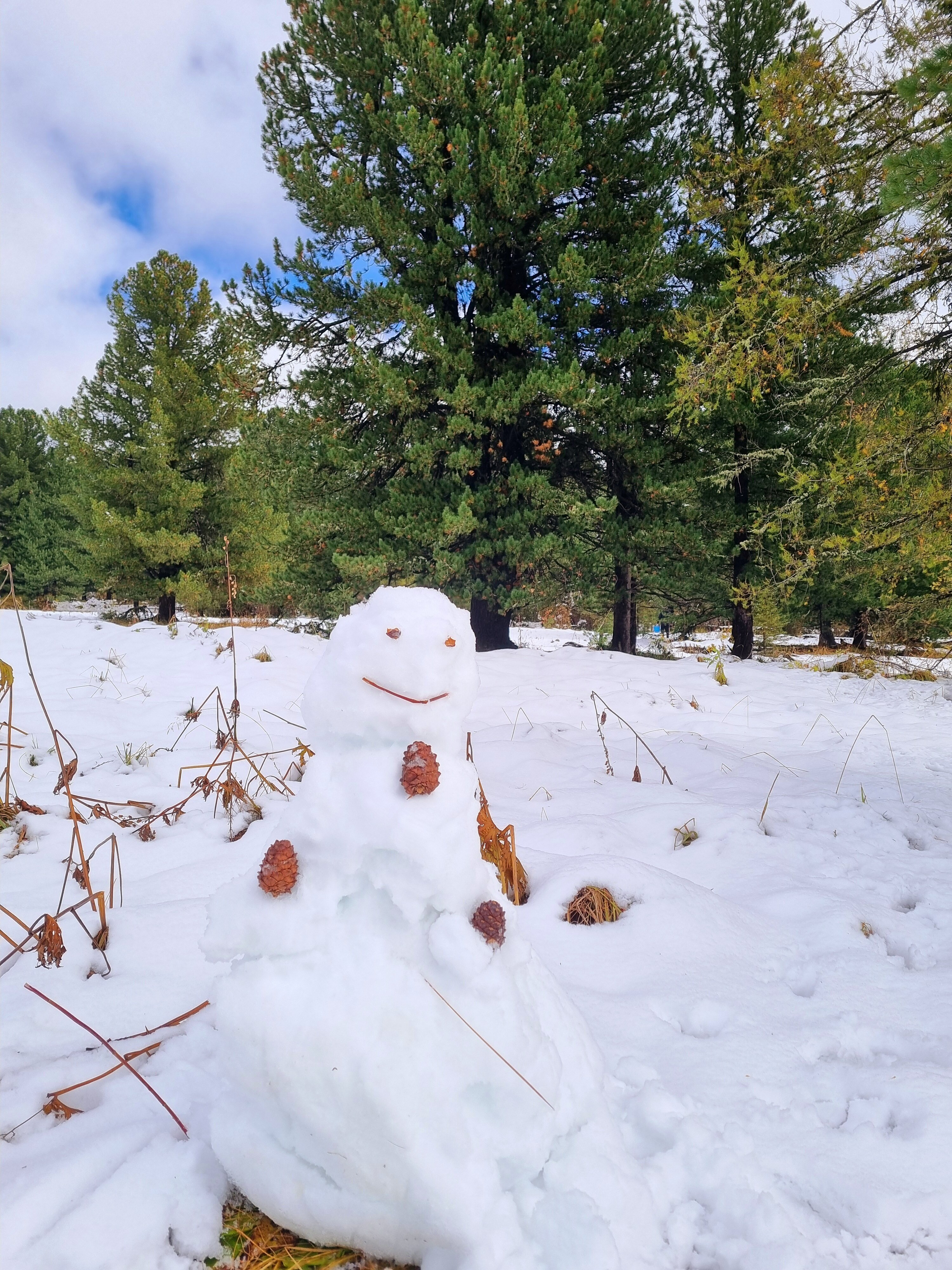 Фото Алтайские терема