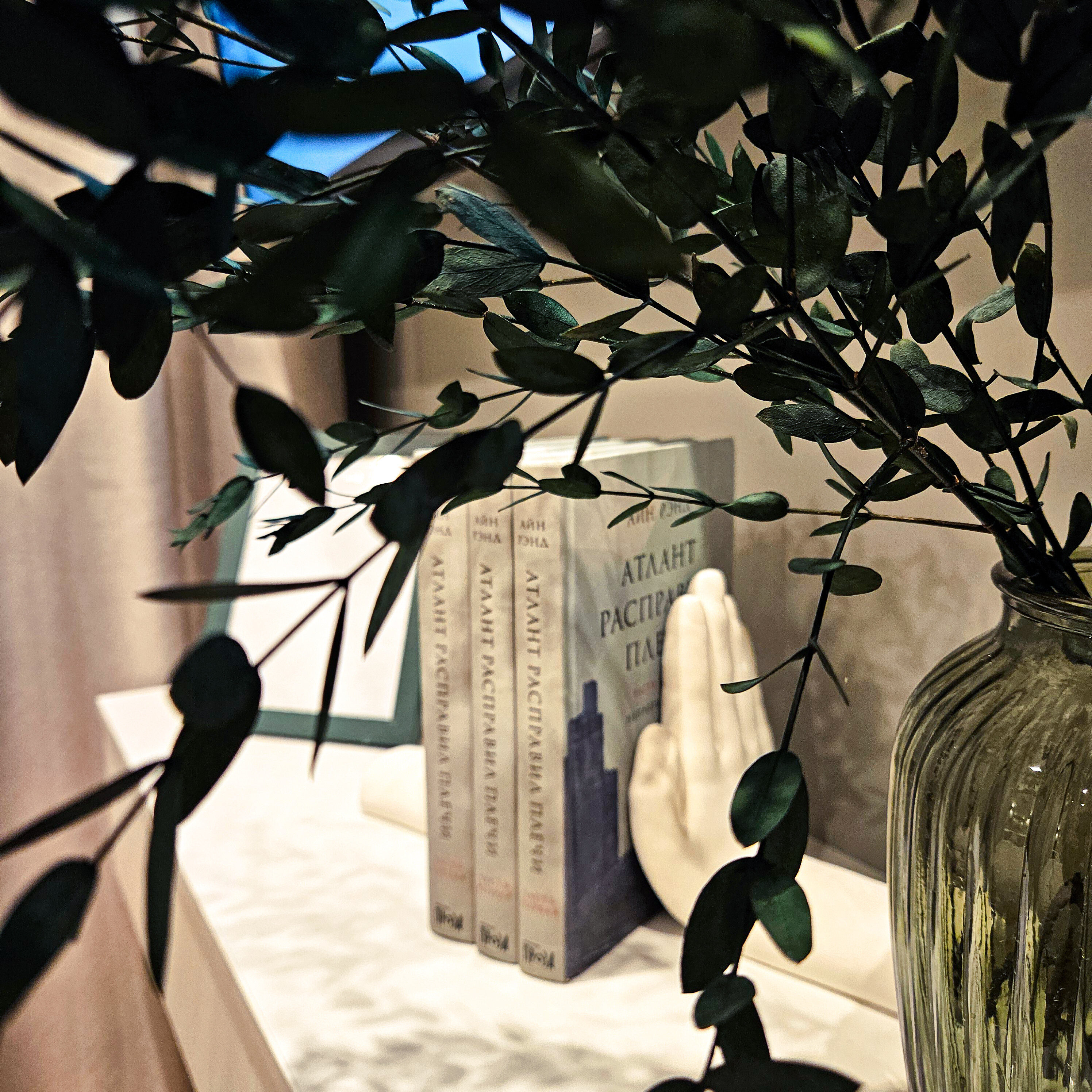 Фото Amyrissalut