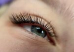 Phoenix (Bankovskaya ulitsa, 15), training of masters for beauty salons