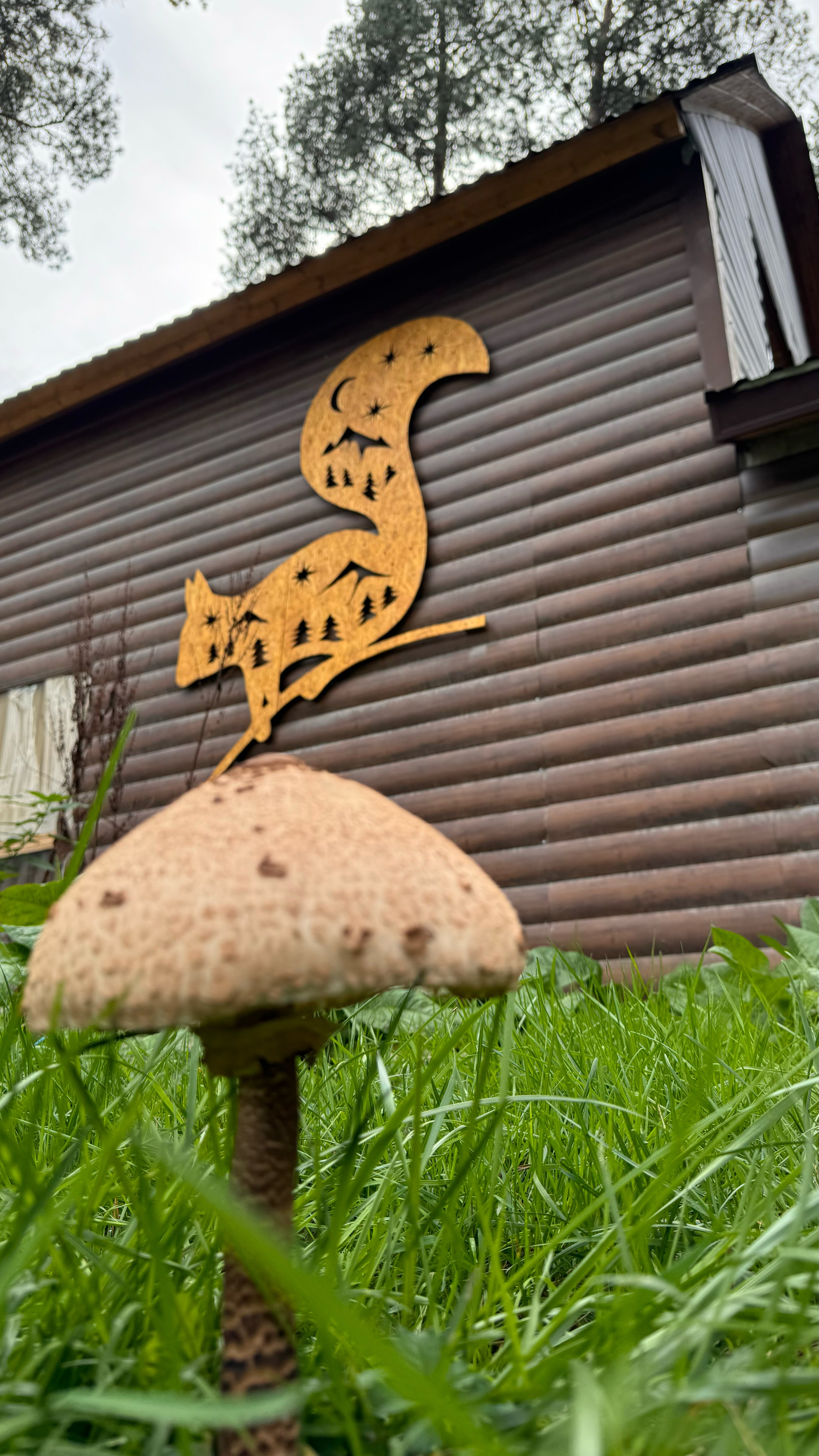 Фото КараБелка