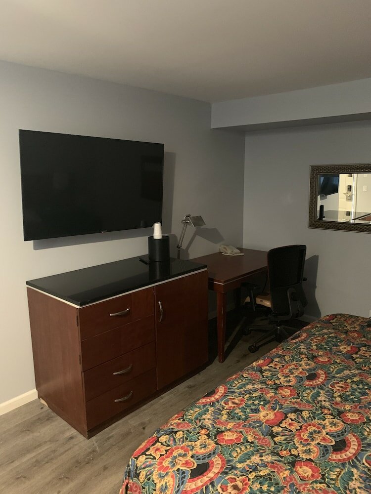 Фото Skylark Motel