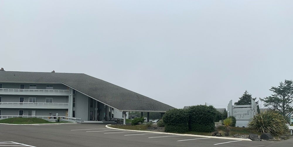 Фото The Grey Gull