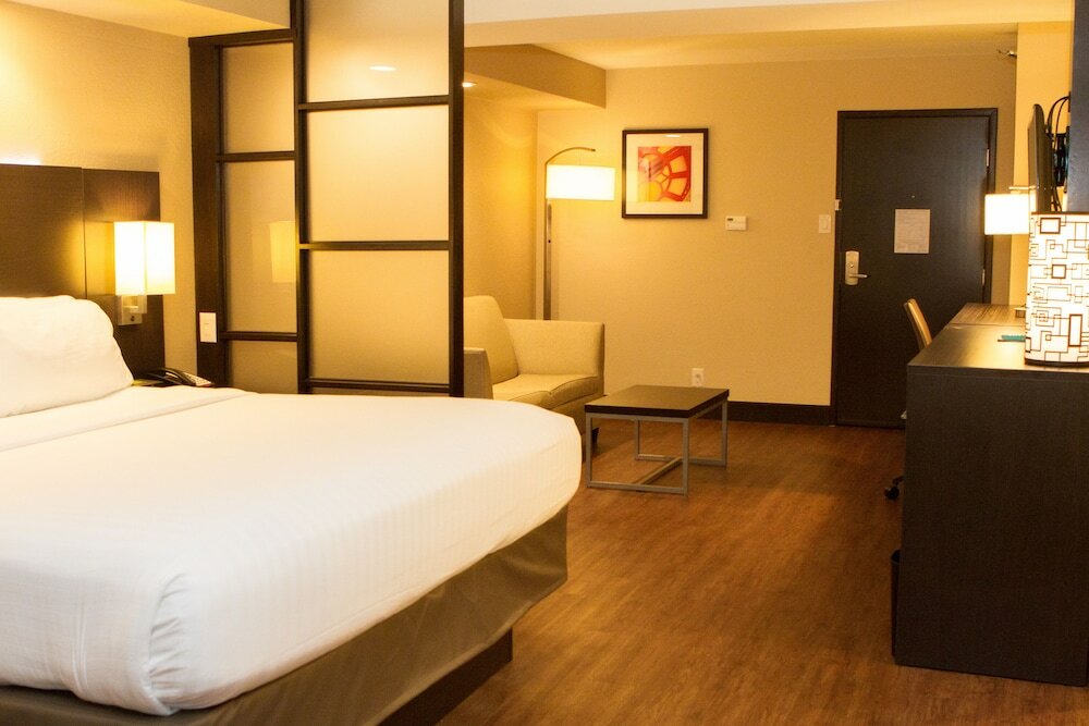 Фото Holiday Inn Express & Suites San Antonio Medical-Six Flags, an Ihg Hotel