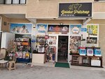 Yildiz Petshop (Ankara Province, Kecioren District, Güçlükaya Mah., Şehit Murat Azizo Sok., 25), pet shop