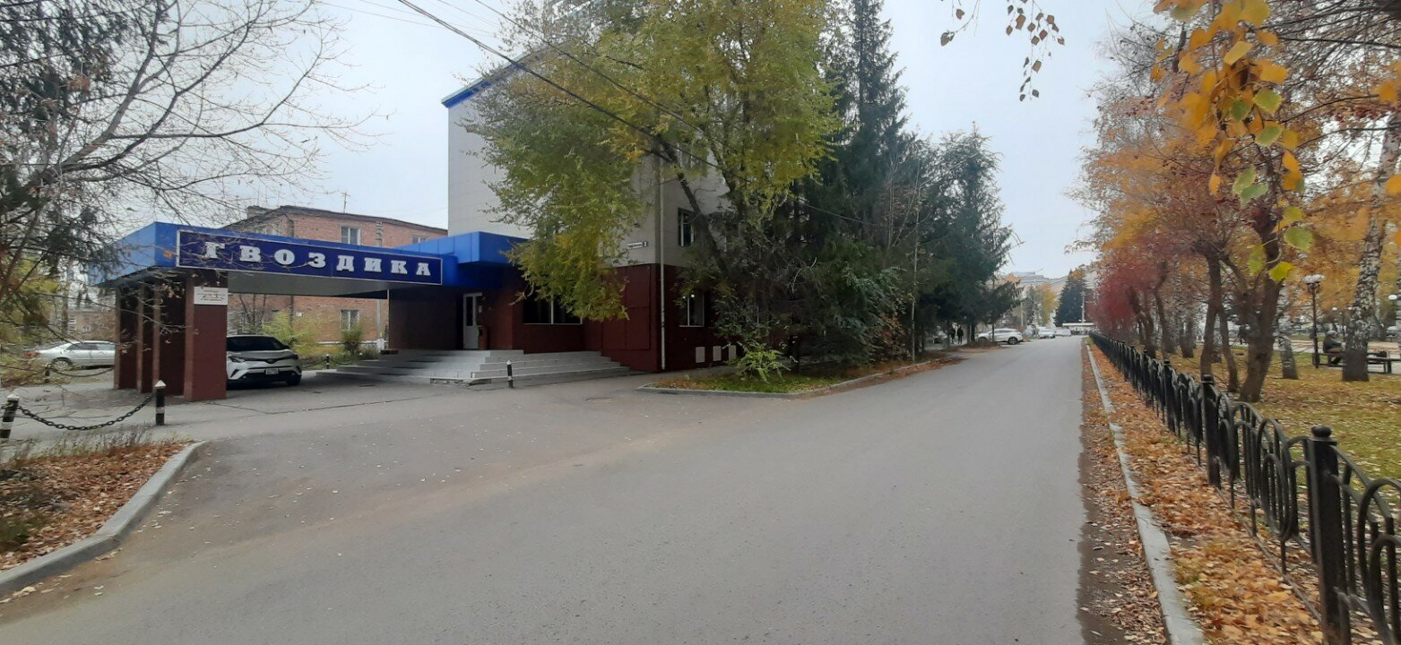 Фото Гвоздика