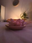 SPA Addict (Tveritina Street, 44), spa