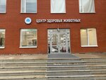 Animal health center (Ufa, Avrory Street, 6), clínica veterinaria
