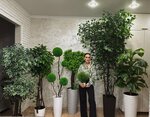 Эко-Артдеревья (Chelyabinsk, Derbentskaya ulitsa, 46), artificial plants and flowers