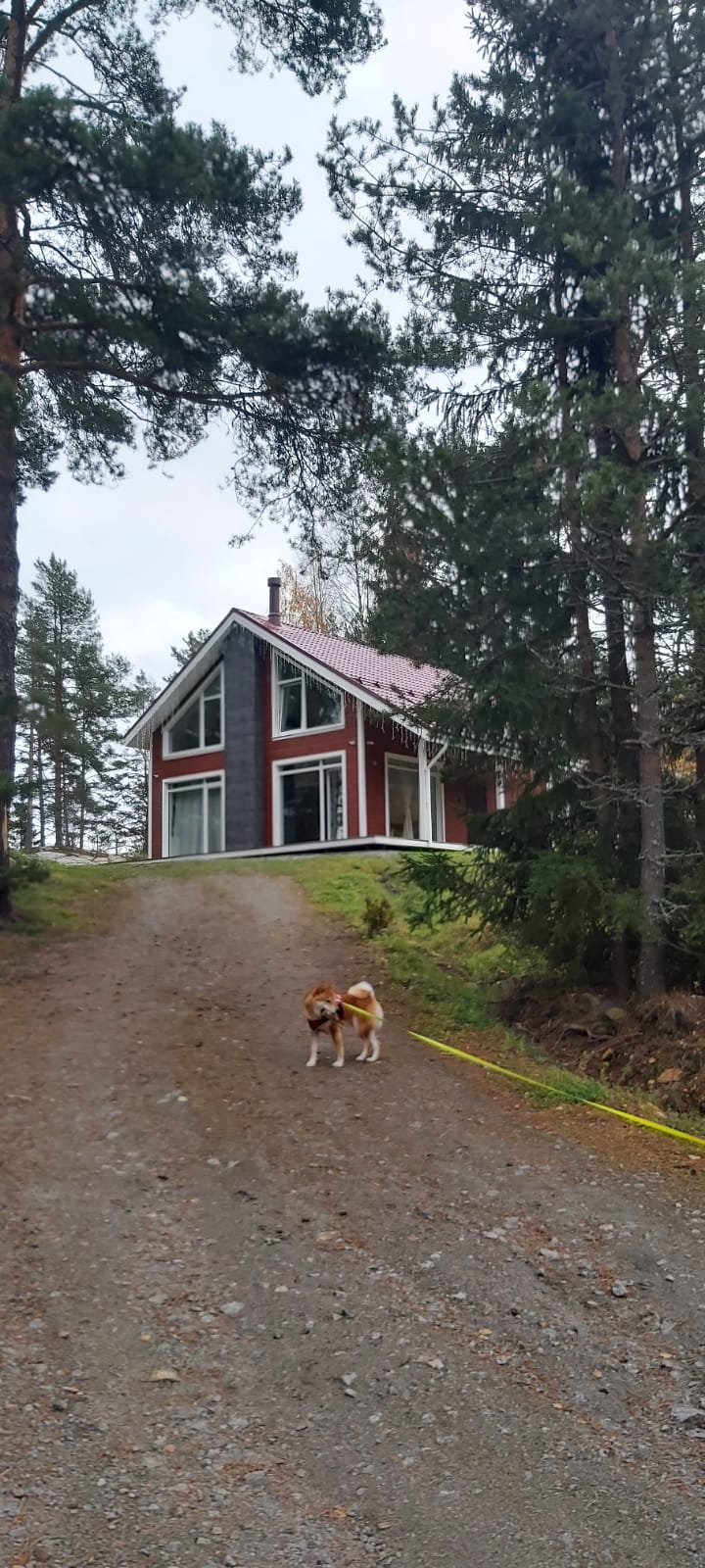 Фото Tikka-House