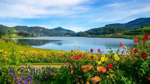 Апартаменты Villa Tea Fields в Нувара-Элии