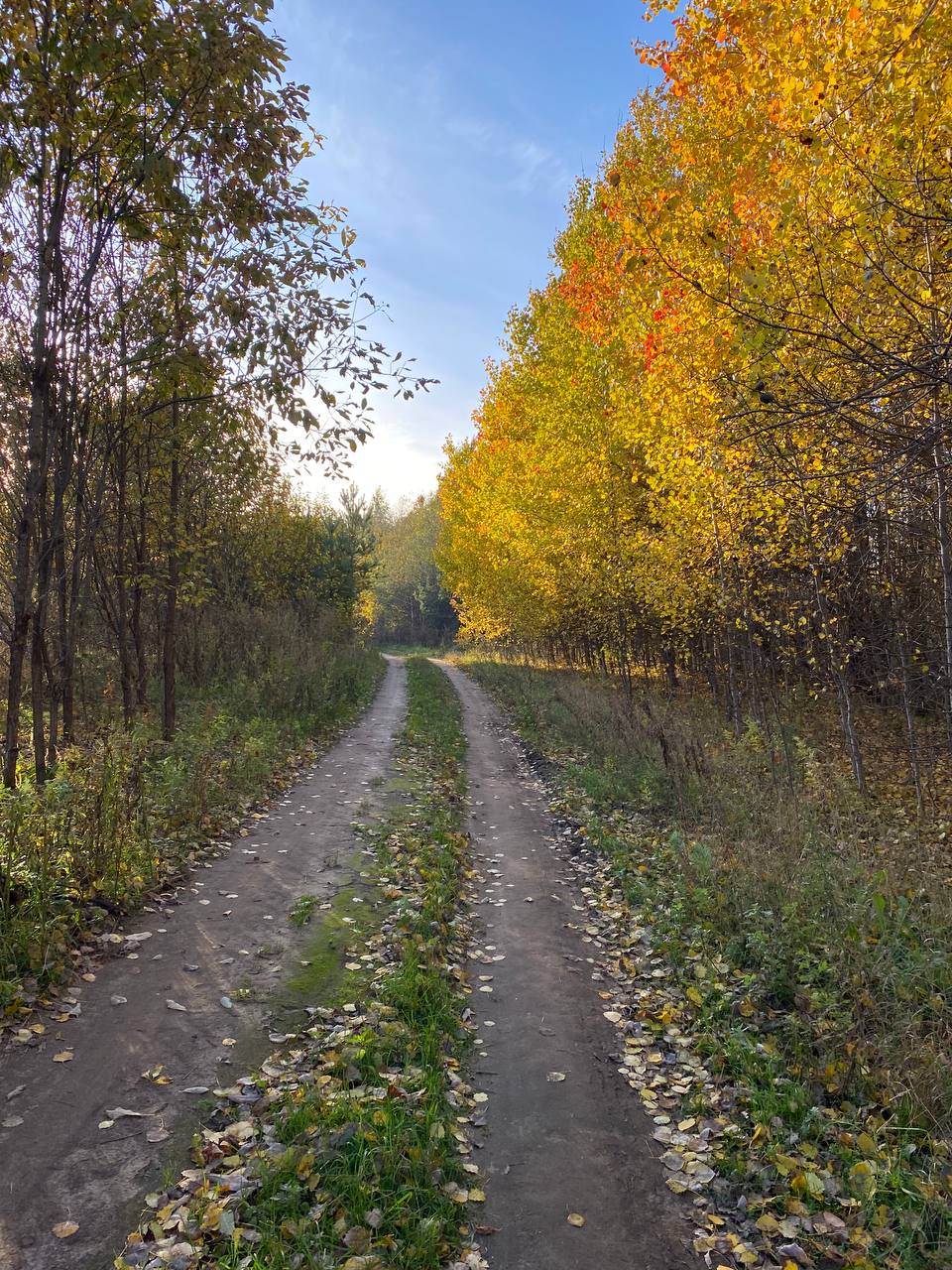 Фото Гостевой комплекс в деревне Нурмолицы