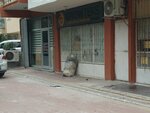 Workwear & Promotion (Konya, Selçuklu, Musalla Bağları Mah., Gurel Sok., 5) ، زي رسمي، ثياب عمل