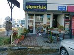 Sumbul Sultan Floristry (Ankara Province, Etimesgut District, Karabag Martyrs Boulevard, 3) ، محل زهور