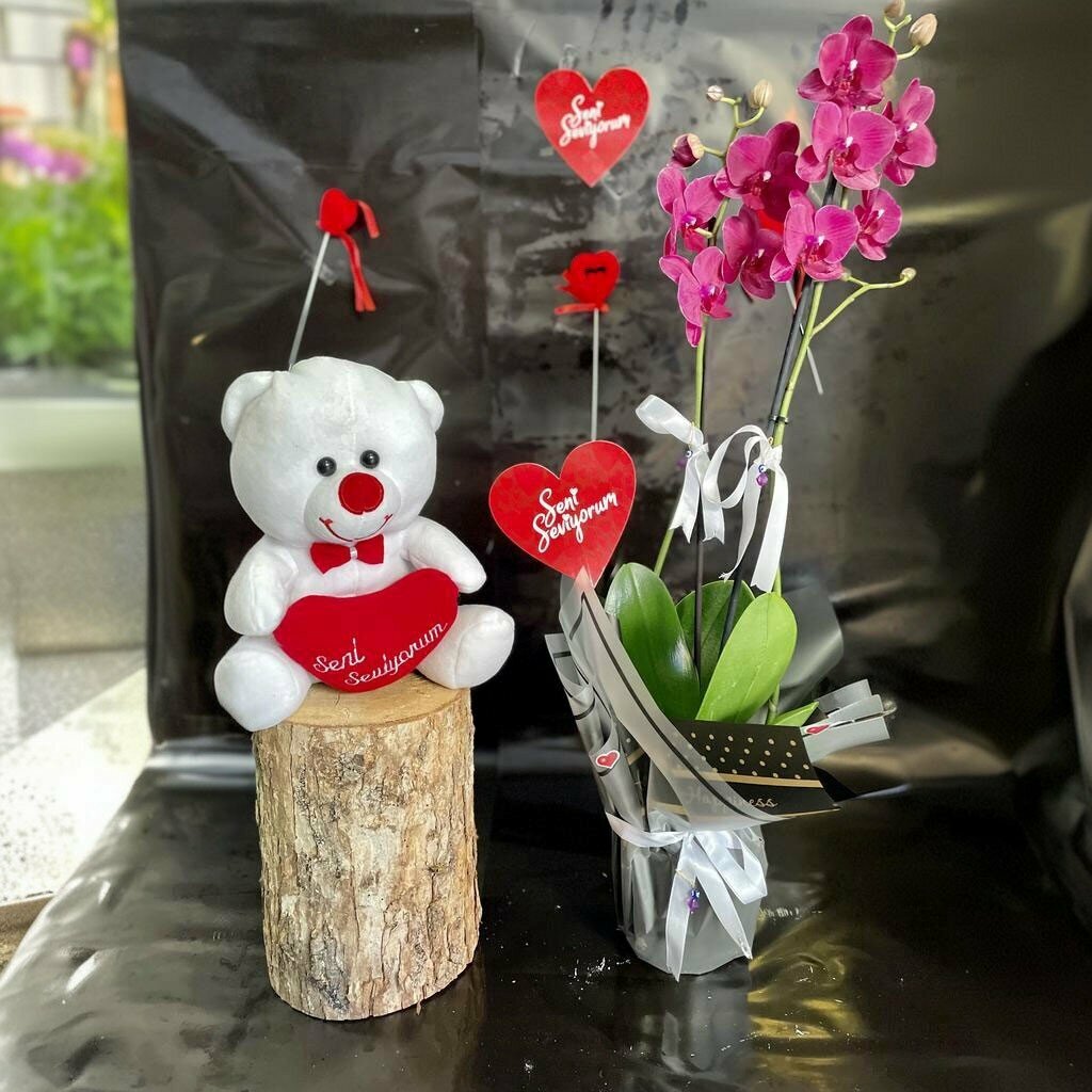 Flower shop Mimoza Çiçekçilik, Erbaa, photo