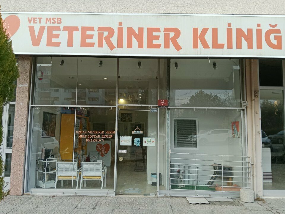 Veterinary clinic Vet Msb Veterinary Clinic, Ankara, photo