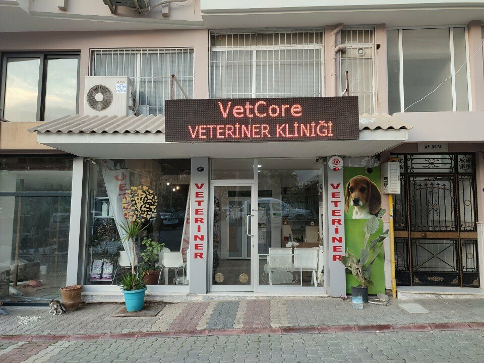 Veterinary clinic VetCore Veterinary Clinic, Izmir, photo